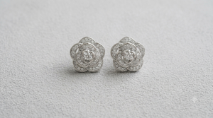 Silver Earrings