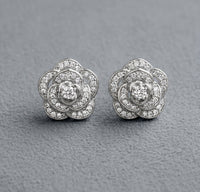 Silver Earrings